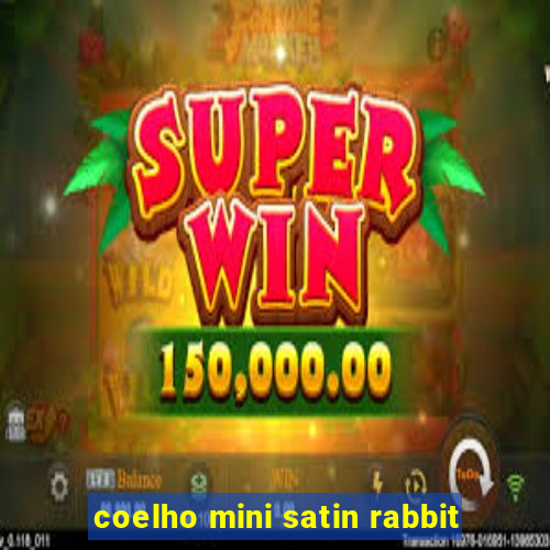 coelho mini satin rabbit